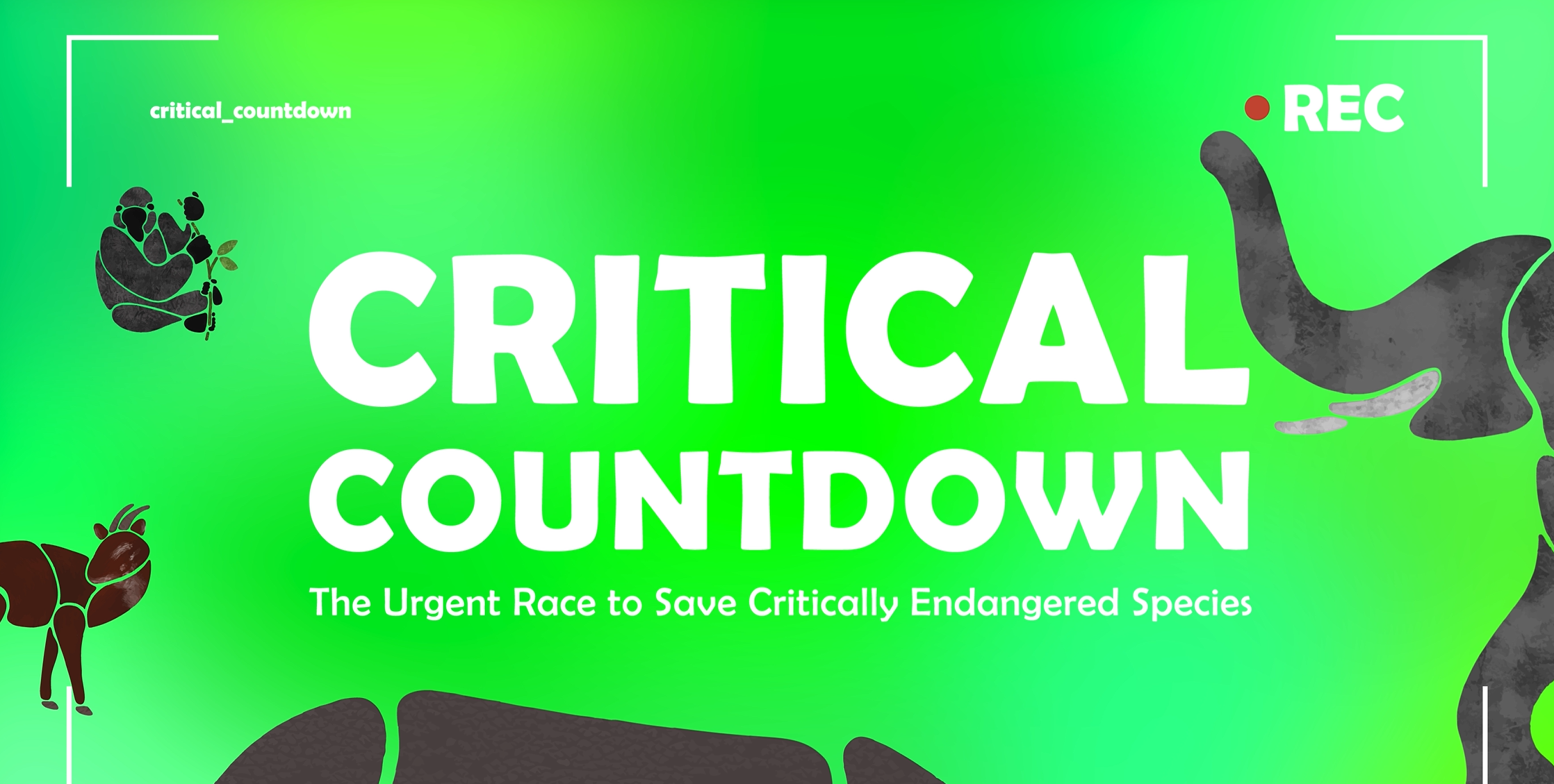 In video view of a green background and four critically endangered animals; a gorilla, saola, rhino, and elephant